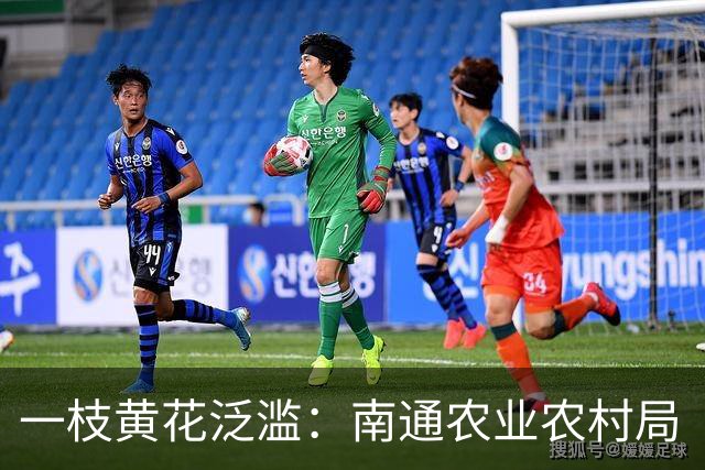 一枝黄花泛滥：南通农业农村局“看不见”，还是装瞎？