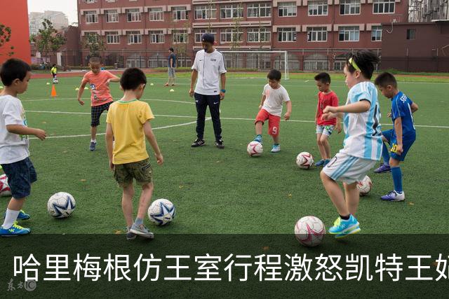 哈里梅根仿王室行程激怒凯特王妃，多年积怨爆发，坚持先问责