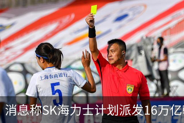 消息称SK海力士计划派发16万亿韩元特别股息，源自铠侠股票处分收益