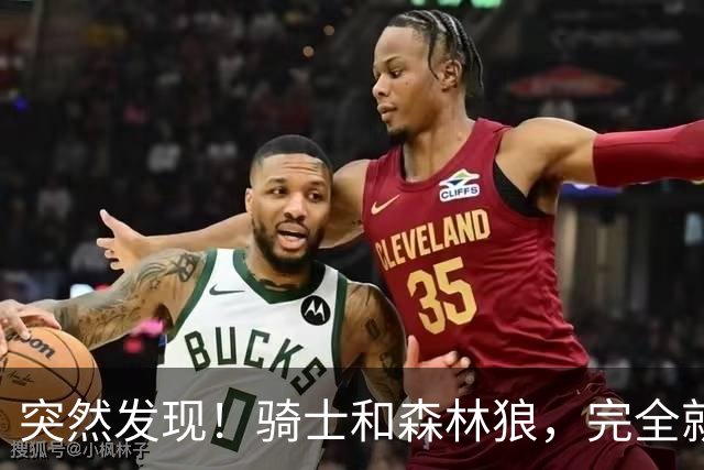 突然发现！骑士和森林狼，完全就是两个极端