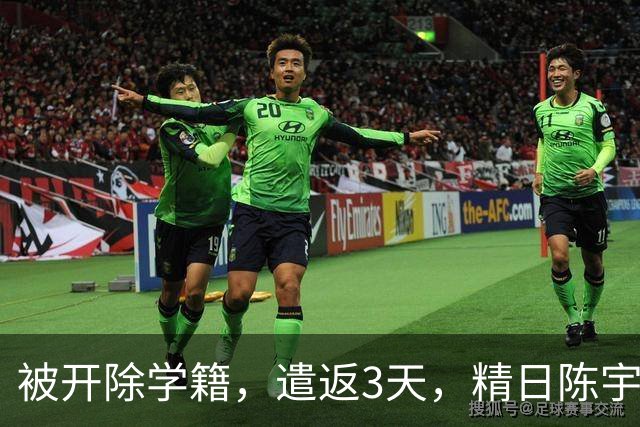 被开除学籍，遣返3天，精日陈宇昕又迎3大麻烦，出路被堵死