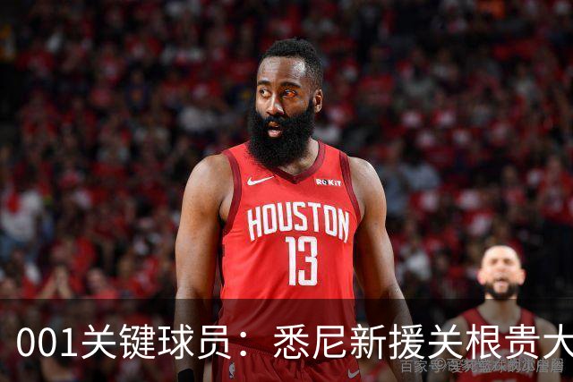 001关键球员：悉尼新援关根贵大水土不服，古德温领衔客队专打身后！